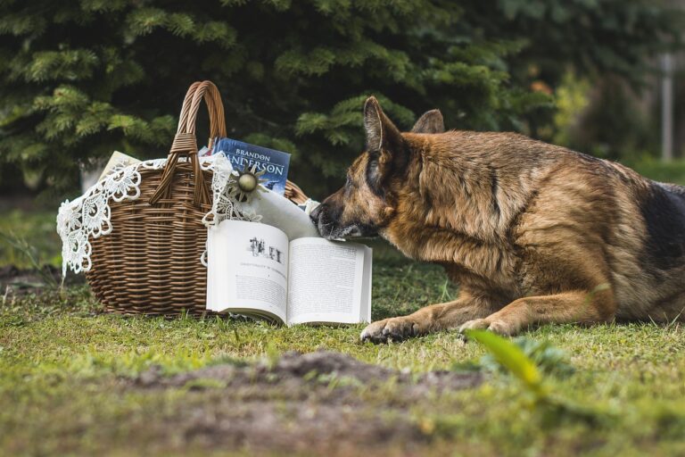 Educational Games for Teaching Conservation Strategies: Cricbet99 id password, Sky99 login, Ready book club